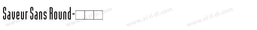 Saveur Sans Round字体转换